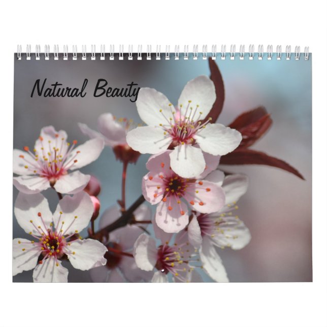 Naturlig skönhet kalender (Omslag)