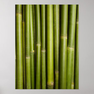 Naturlig skräddarsy mall för bambuZen bakgrund Poster