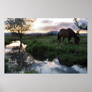 Naturlig solnedgång poster