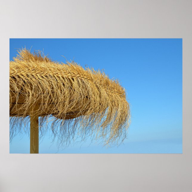 Naturlig strandskärm poster (Framsidan)