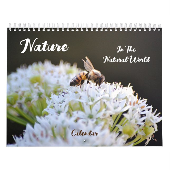 Naturlig världskalender kalender (Omslag)