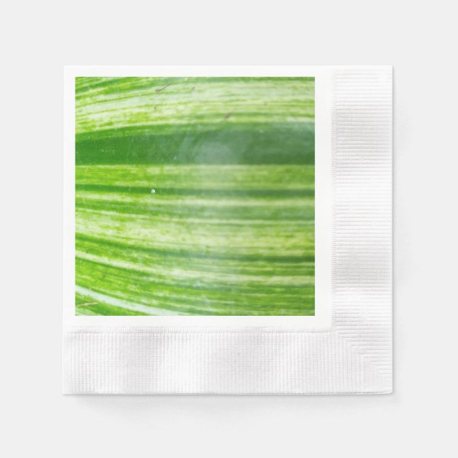 Naturliga arv: Pappra blöjor Pappersservett (Framsidan)