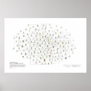 Naturliga beställningar av växter - Förlikningar Poster