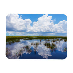 Naturliga Everglades landskap Magnet