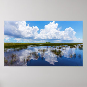 Naturliga Everglades landskap Poster