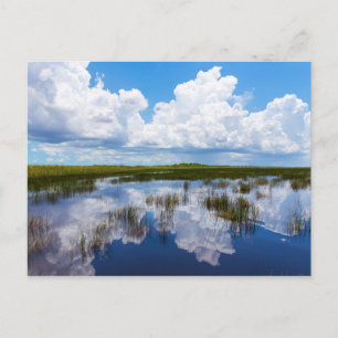 Naturliga Everglades landskap Vykort