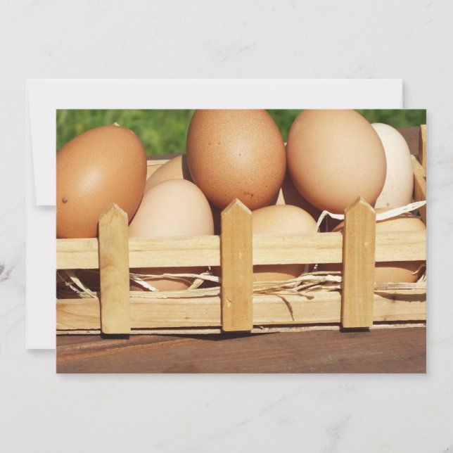 Naturliga hönsägg från land (Framsida)