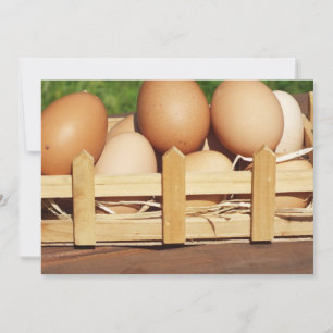 Naturliga hönsägg från land
