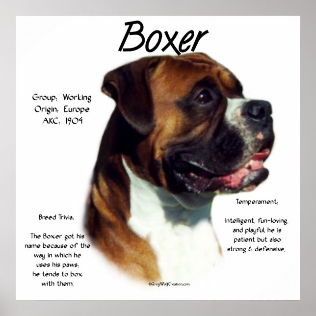 Naturliga öronboxare Möt rasen Poster (Framsidan)