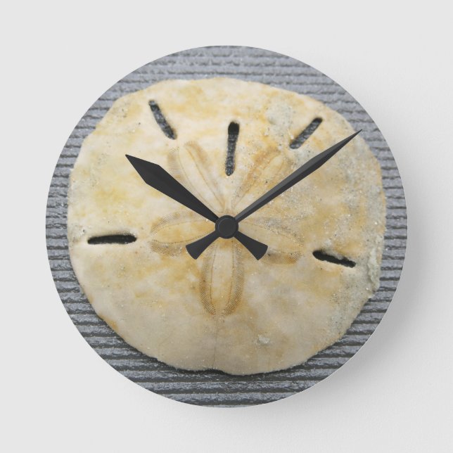 Naturliga sanddollar rund klocka (Framsida)