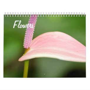 Naturliga skönhetsblommor kalender