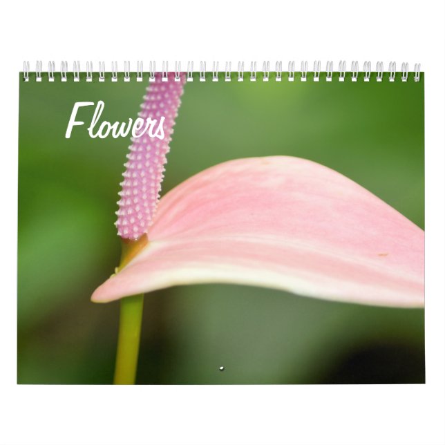 Naturliga skönhetsblommor kalender (Omslag)