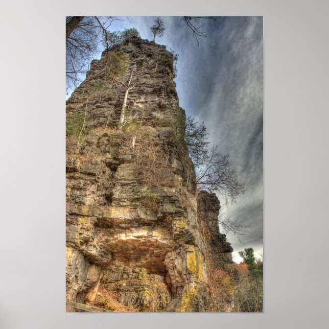 Naturliga Skorsten, Virginia Poster (Framsidan)