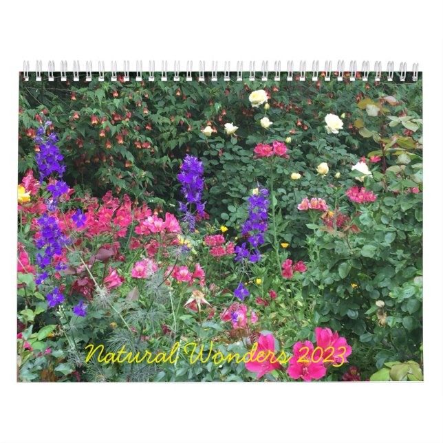 Naturliga underverk inspirerande kalender (Omslag)