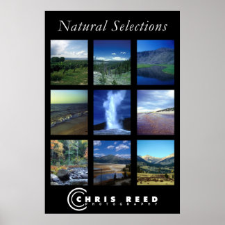 Naturliga val poster