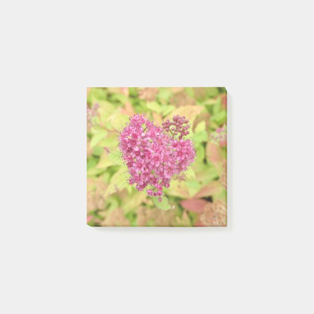 Naturligt blommande hjärta - piercing by <Pil höge Post-it Block (Framsida)