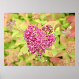 Naturligt blommande hjärta - piercing by <Pil höge Poster