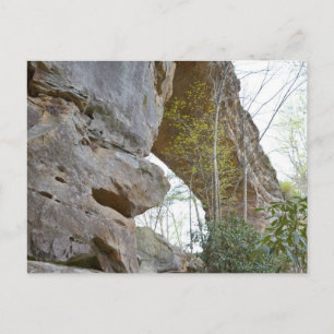 Naturligt Bridge Kentucky Postcard Vykort