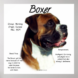 Naturligt gå i ax boxaremeeten avelaffischen poster