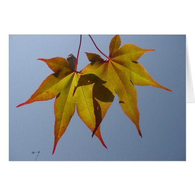 Naturligt guld hälsningskort (Framsidan Horizontal)