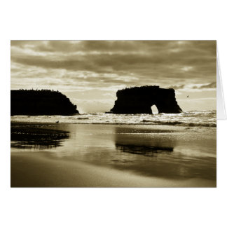 Naturligt överbryggar den statliga stranden hälsningskort