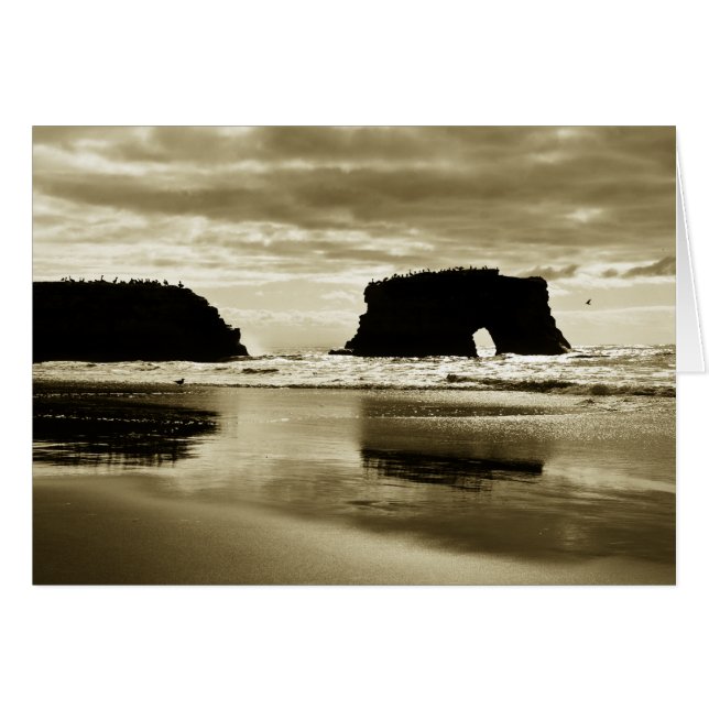 Naturligt överbryggar den statliga stranden hälsningskort (Framsidan Horizontal)