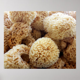 Naturligt snyltar affischen poster