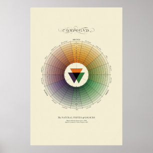 Naturligt system i Färg - Förening - ljus Poster