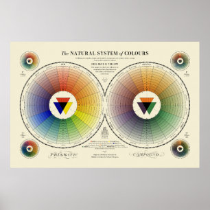 Naturligt system i Färg - ljus Poster