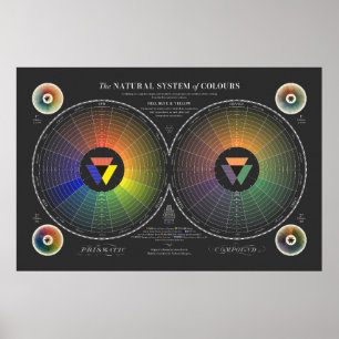 Naturligt system i Färg - Mörk Poster