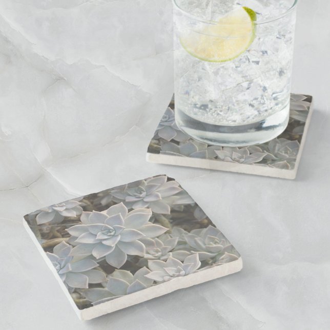 Naturligt vackra succulents botaniska stenunderlägg (Skapare uppladdad)