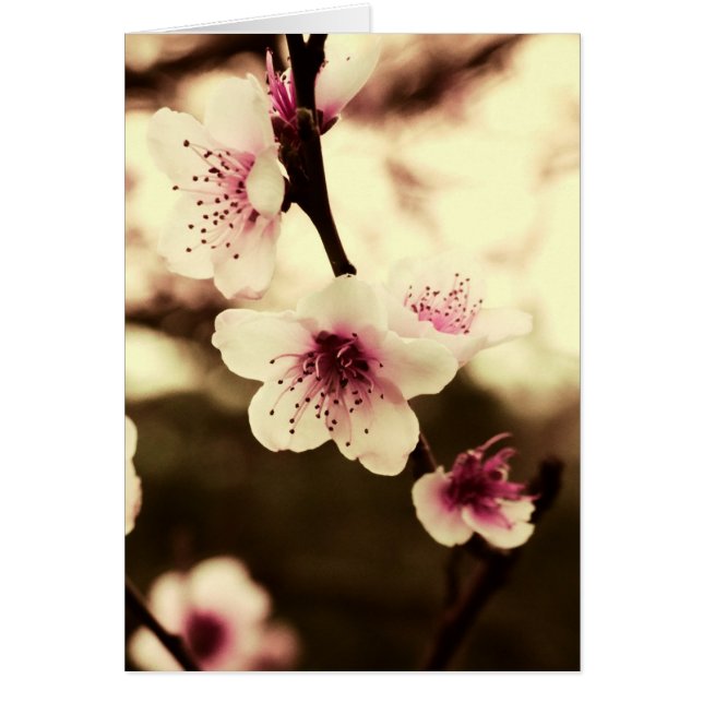 Naturligt vårskönhetkort hälsningskort (Framsidan)