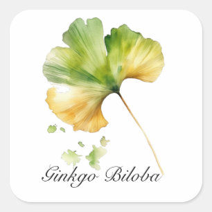Naturliv: anpassadet Ginkgo Biloba löv Fyrkantigt Klistermärke