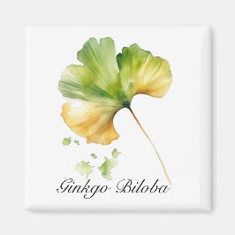 Naturliv: Ginkgo Biloba löv vattenfärg Magnet