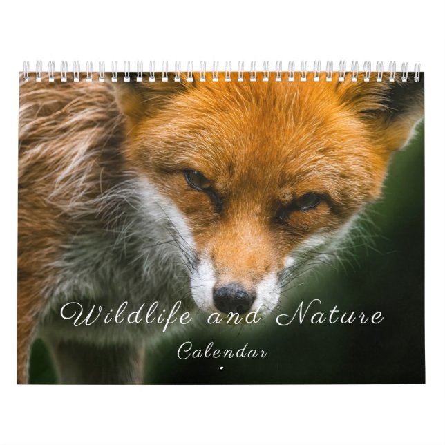 Naturliv och natur kalender (Omslag)