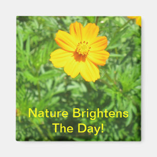 Naturmagnet Magnet