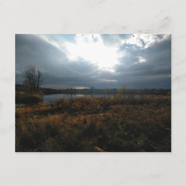 Naturmark Vykort (Framsida)