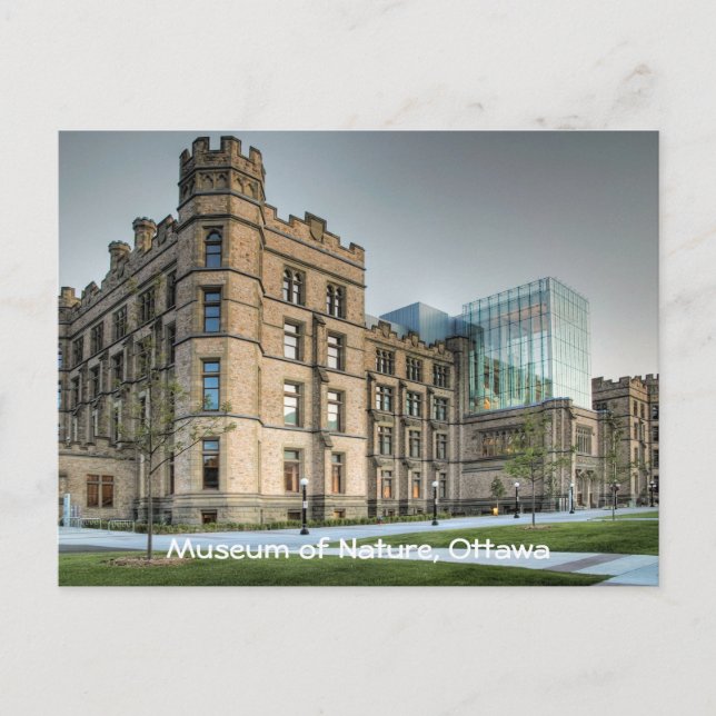 Naturmuseum, Ottawa. Vykort (Framsida)