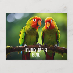 NATURÖN AV DOMINICA DELAR VYKORT