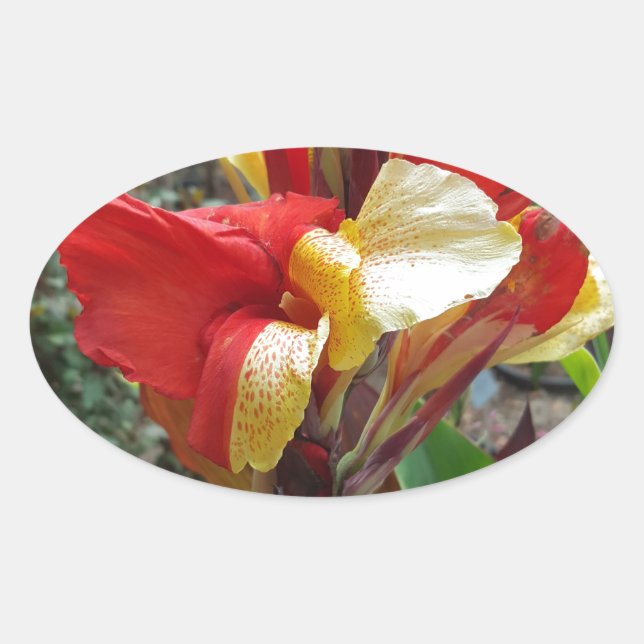 Naturrödblommor - fotfotografi ovalt klistermärke (Framsida)