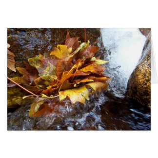 Naturs bukett hälsningskort