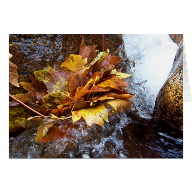 Naturs bukett hälsningskort (Framsidan Horizontal)