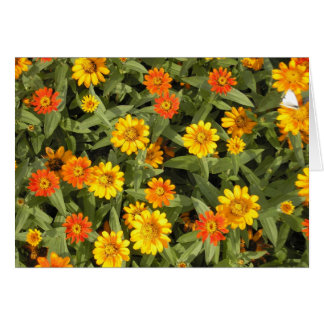 Naturs bukettserie (nedgången) hälsningskort