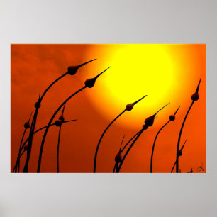 Naturs designaffisch poster