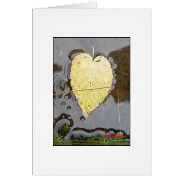 Naturs hjärta OBS kort (Framsidan)