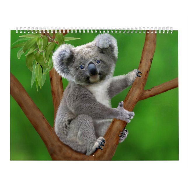 Naturs mest gullig månadstidningkalender kalender (Omslag)