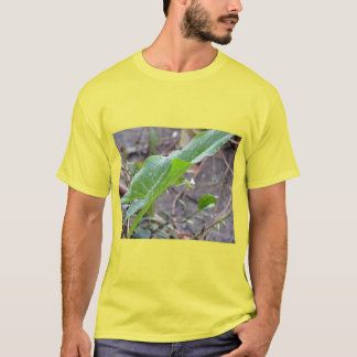 Naturs rentvå t shirt