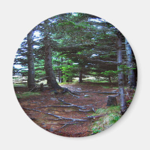 Naturs trappamagnet magnet