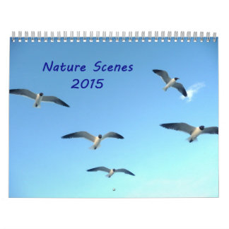 Naturscenarier 2015 - kalender