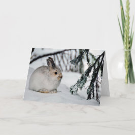 Naturscenen i Snö i Snowshoe Hare Winter Kort